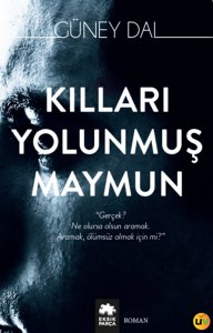 Kılları Yolunmuş Maymun