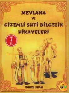 Mevlana ve Gizemli Sufi Bilgelik Hikayeleri