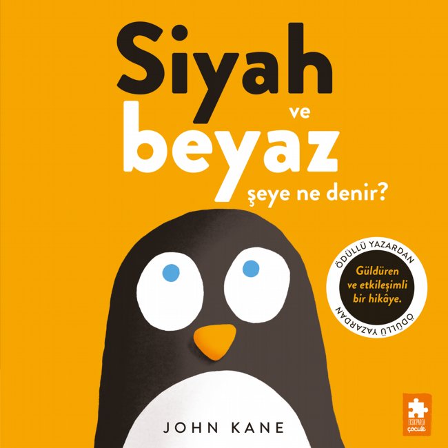Siyah Ve Beyaz Şeye Ne Denir?