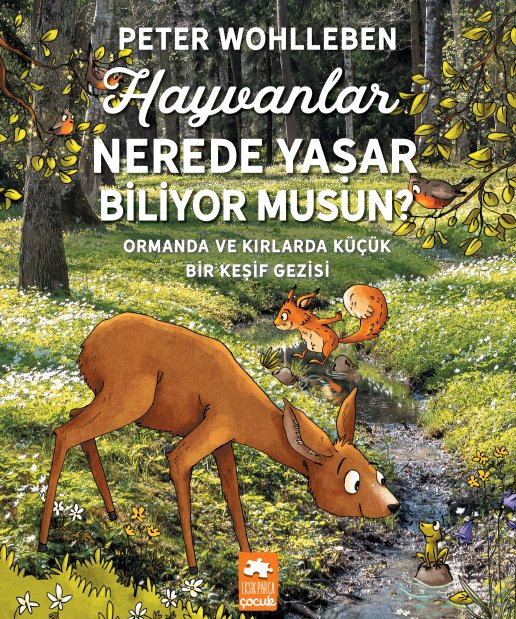 Hayvanlar Nerede Yaşar Biliyor Musun?