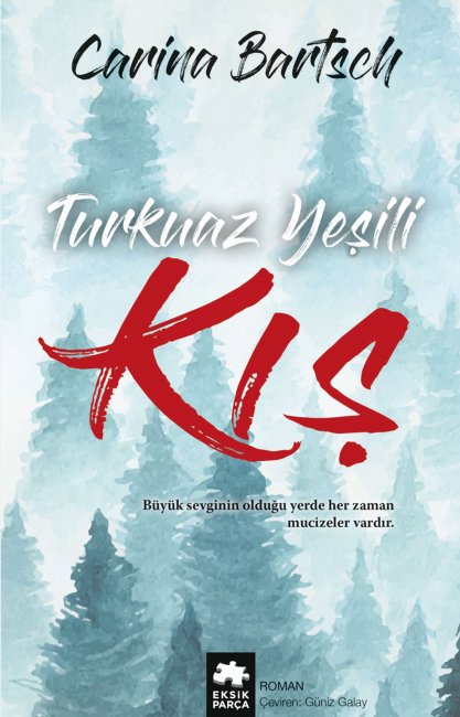 Turkuaz Yeşili Kış