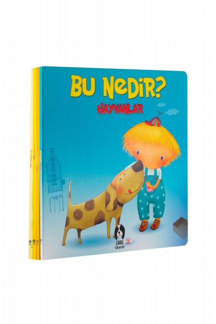 Set Bu Nedir Serisi - 4 Kitap