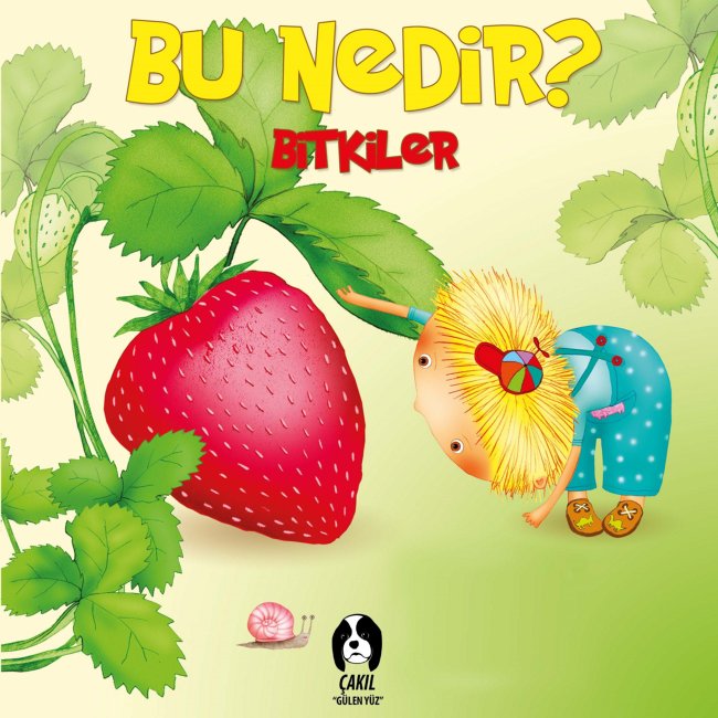 Bu Nedir - Bitkiler